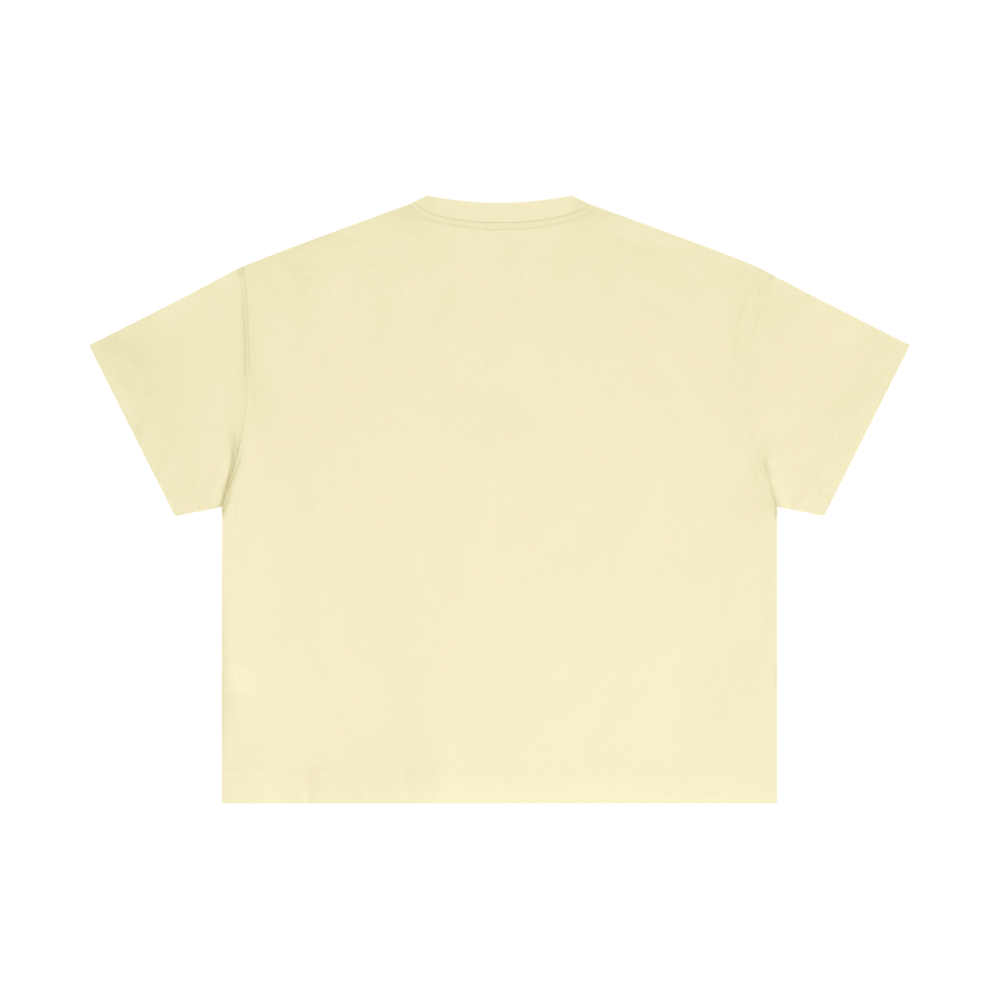 IFW D5 Essential Cotton Boxy T-Shirt