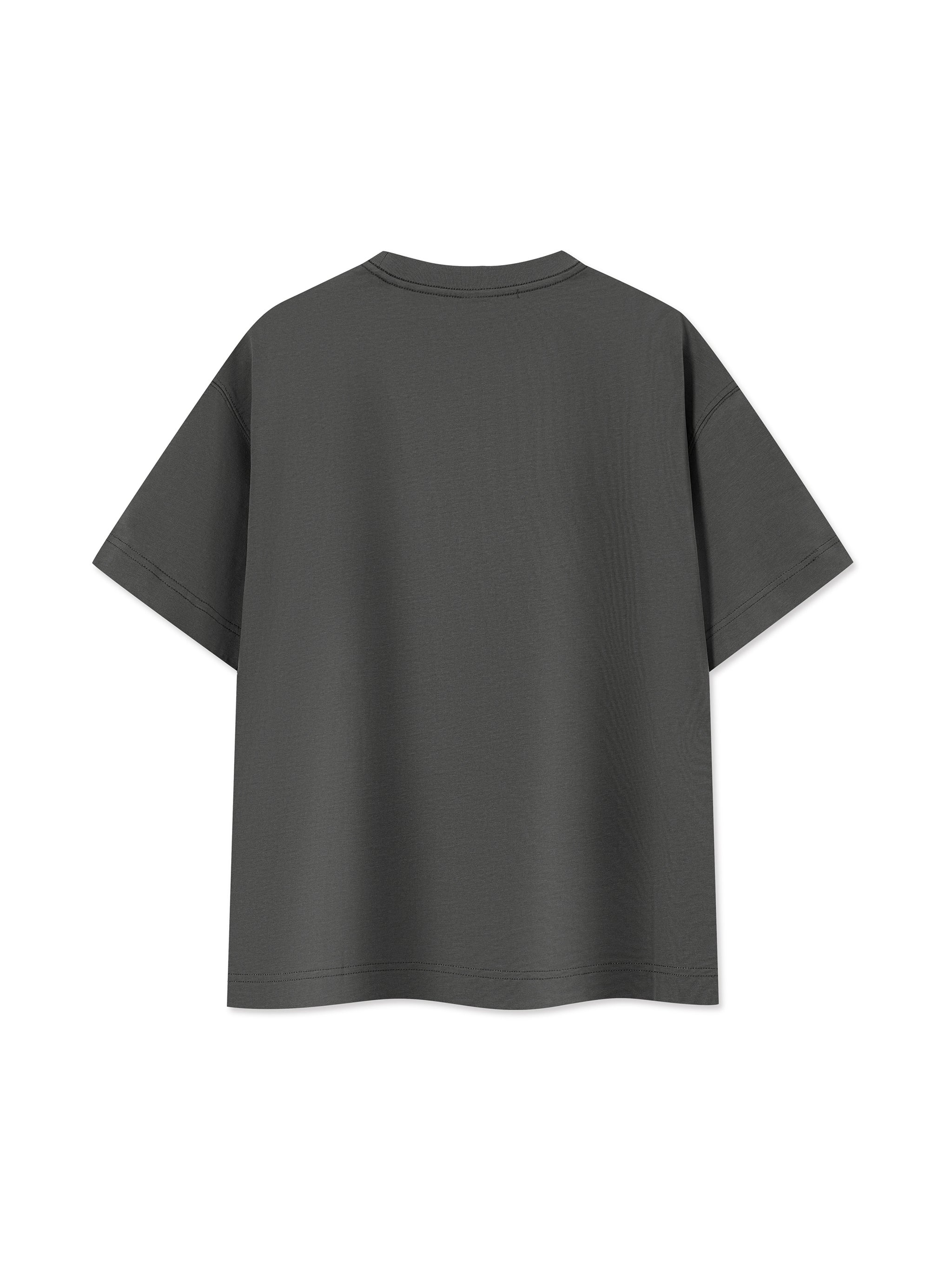 IFW Core D3 Essential Cotton Boxy T-Shirt